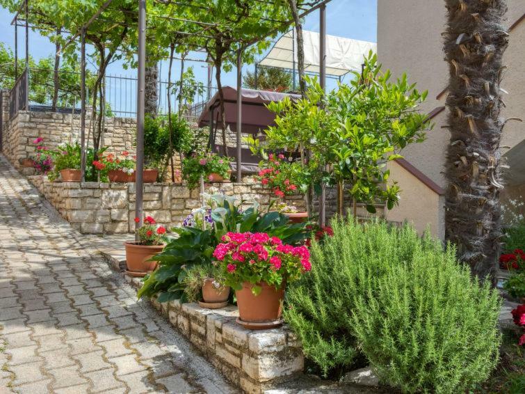 Apartments Folo Tar-Vabriga Екстер'єр фото